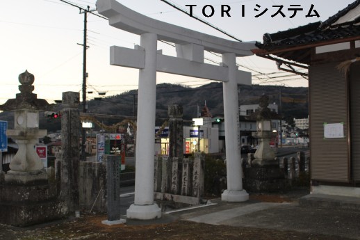 [̊摜